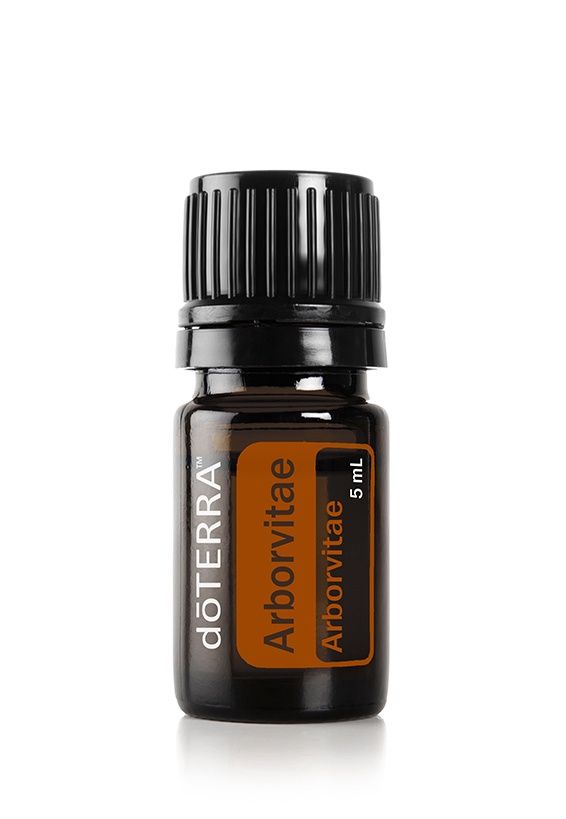 Arborvitae Essential Oil 5ml