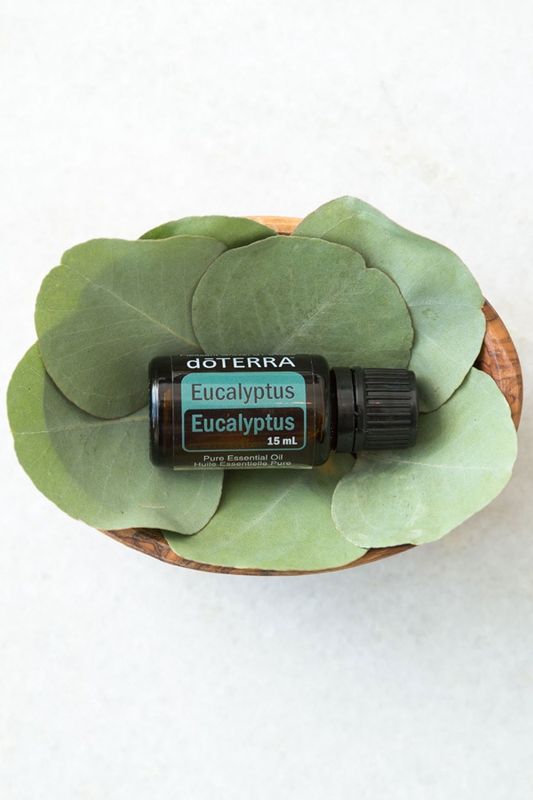 Eucalyptus Essential Oil 15ml