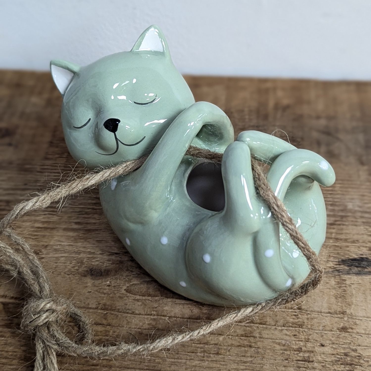 Hanging Green Polka Dot Cat Pot