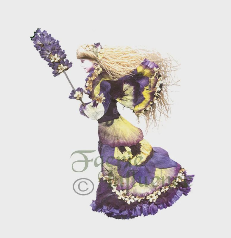 Anoria Card