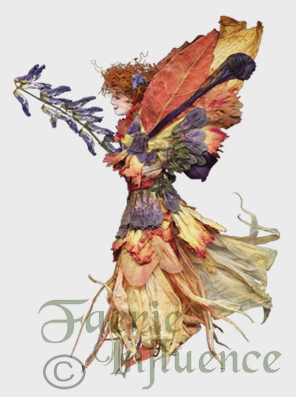 Malora Card