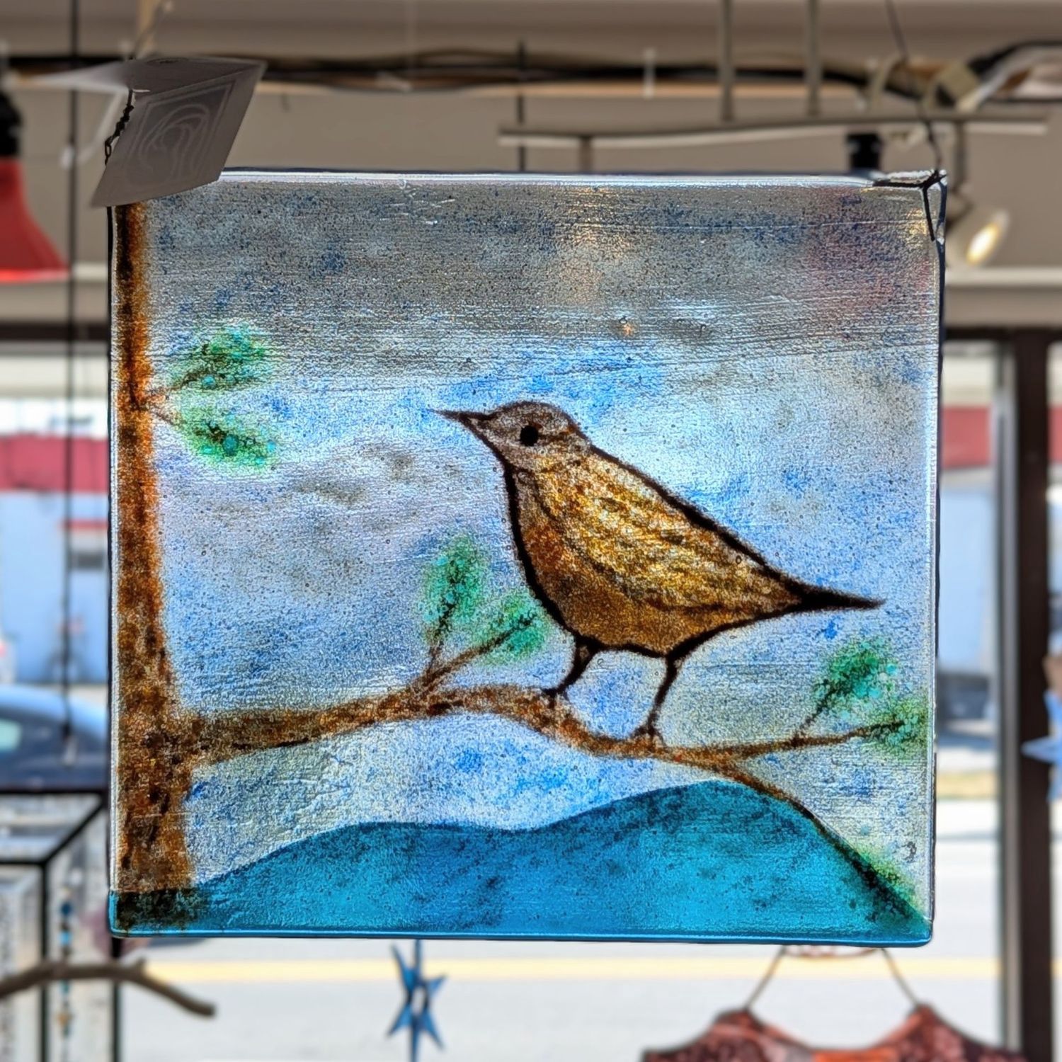 AGH205 9x10  Square Glass Bird