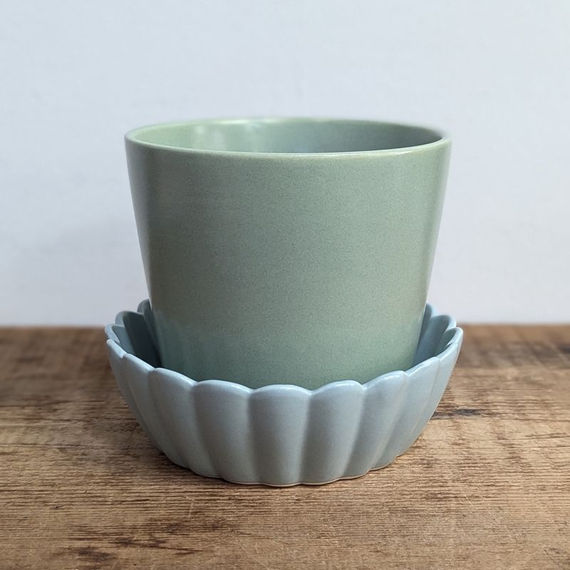 5.75&quot; x 5&quot; Springvale Green Pot With Saucer