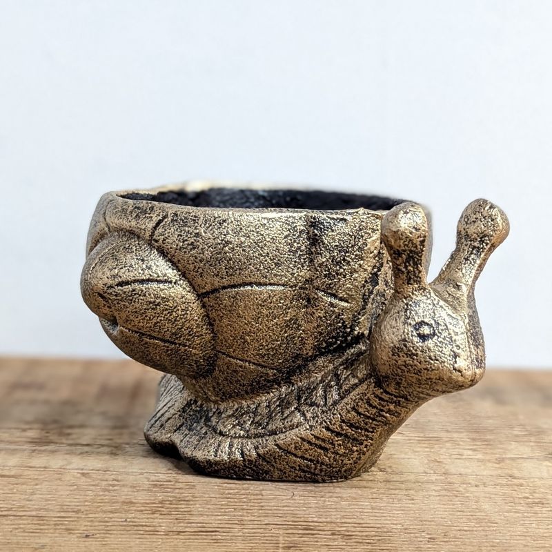 3 3/8&quot; x 5 7/8&quot; Antique Gold Iron Snail Pot