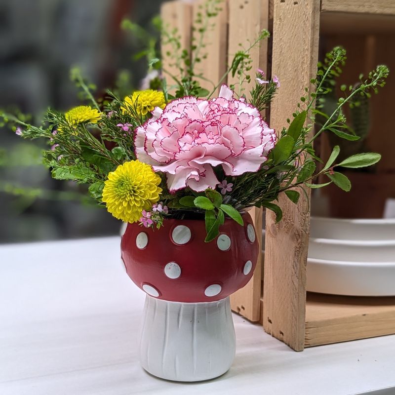 Mini Spring Mushroom Arrrangement
