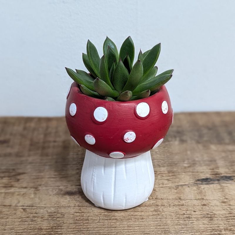 Assorted 2&quot; Succulent in Mushroom Pot