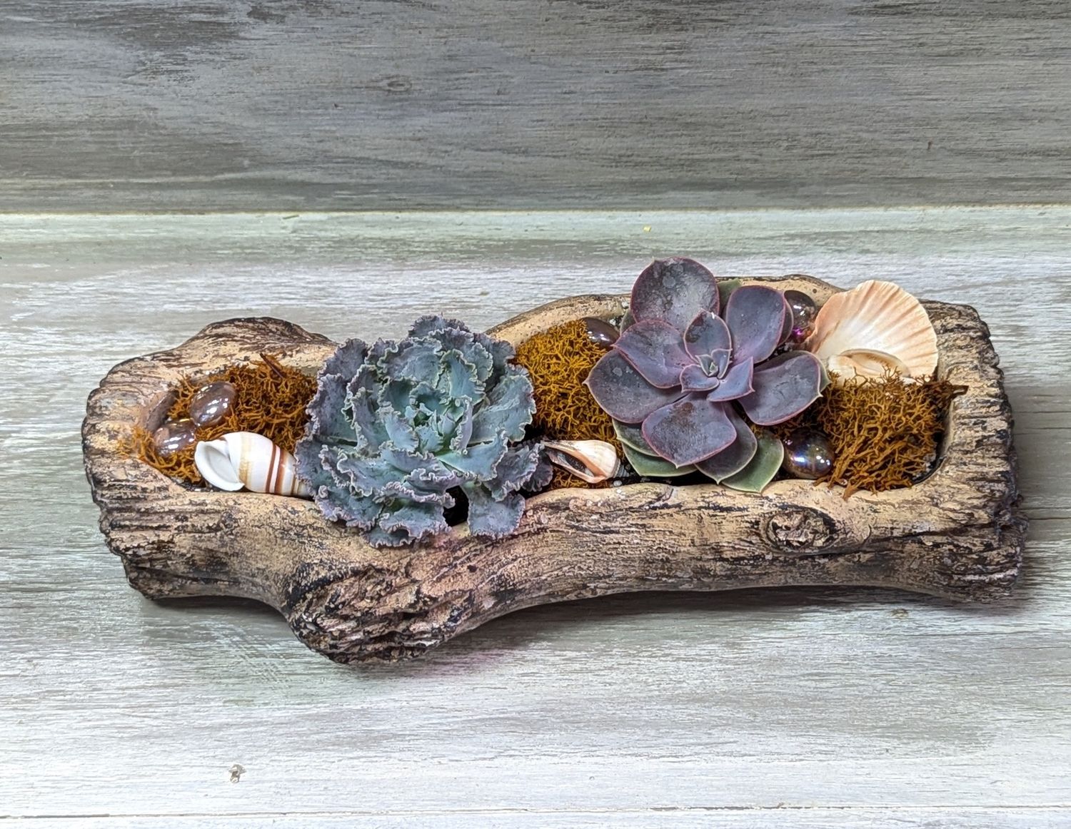Succulent Log Arrangement With Orange Moss