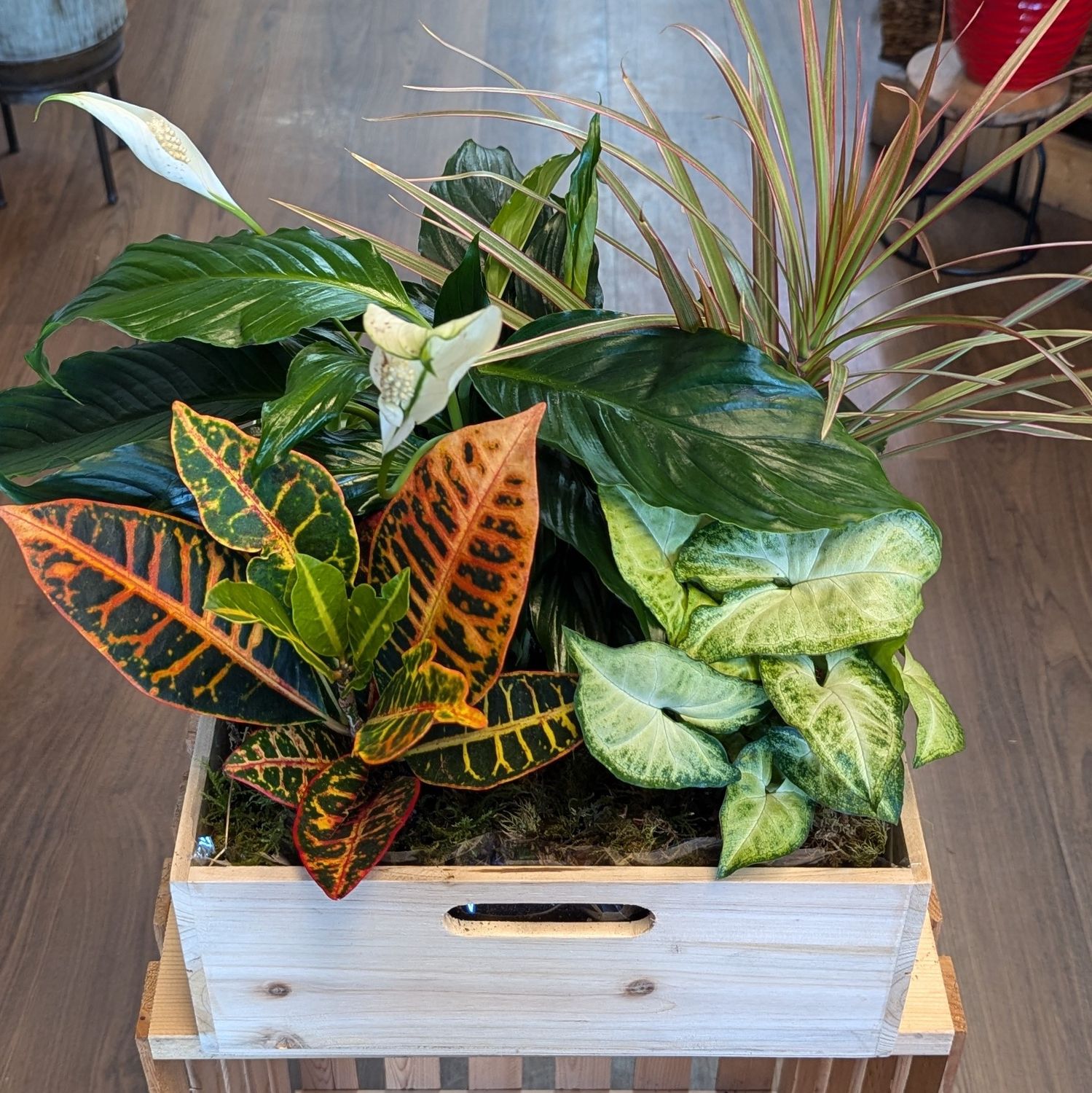 Mixed Planter Box