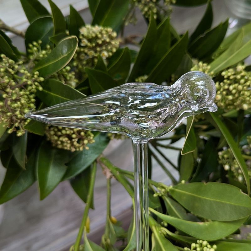 Aria Bird Plant Watering Globe