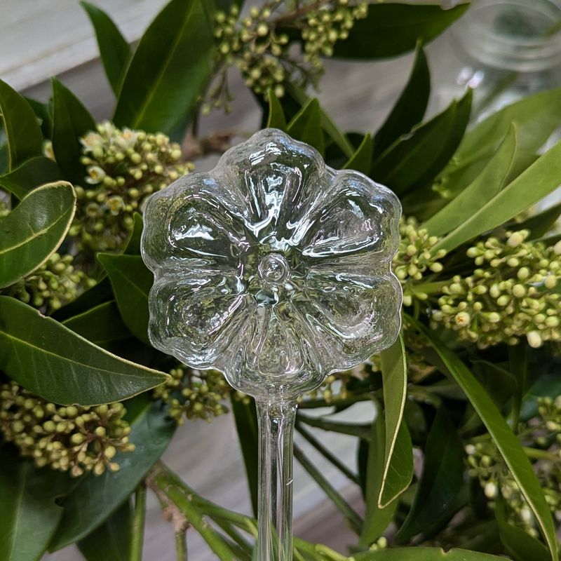 Aria Flower Plant watering Globe