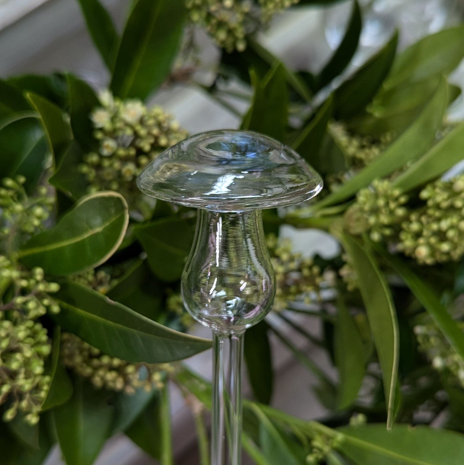 Aria Mushroom Plant Watering Globe