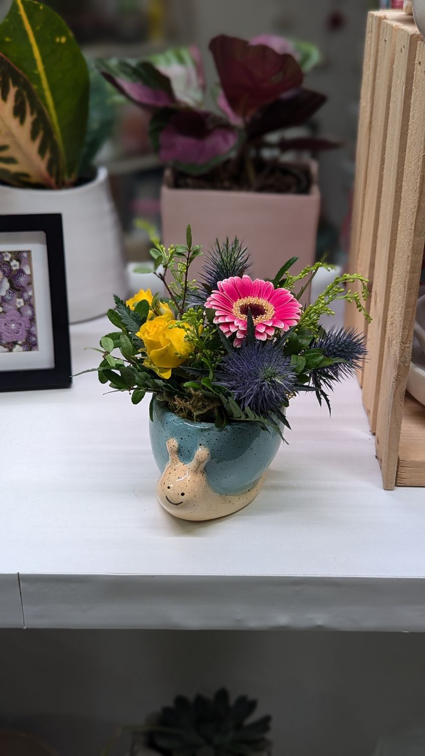 Mini Spring Snail Arrangement