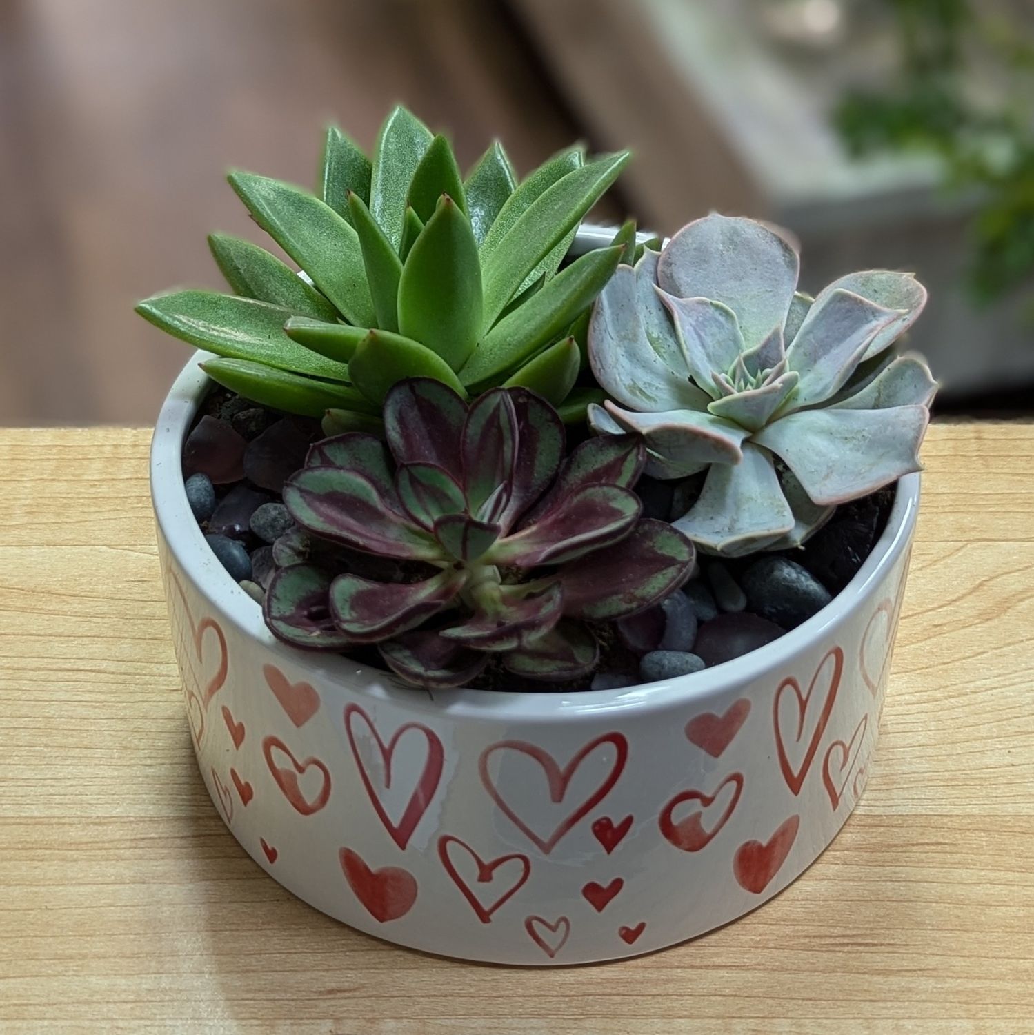 Succulent Heart Planter