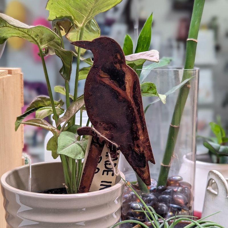 RL39RSR Rusted Raven Stake