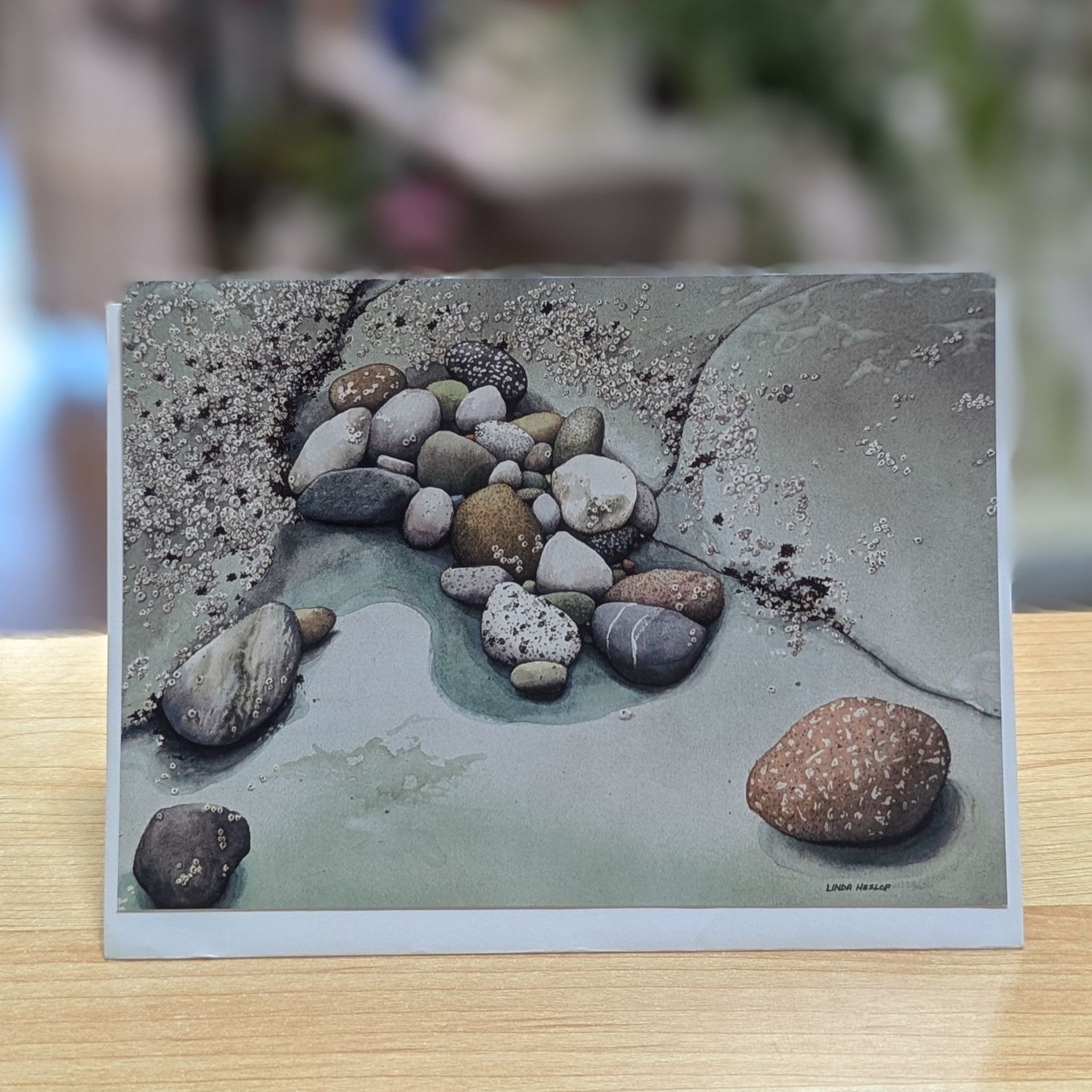 Castaways Card