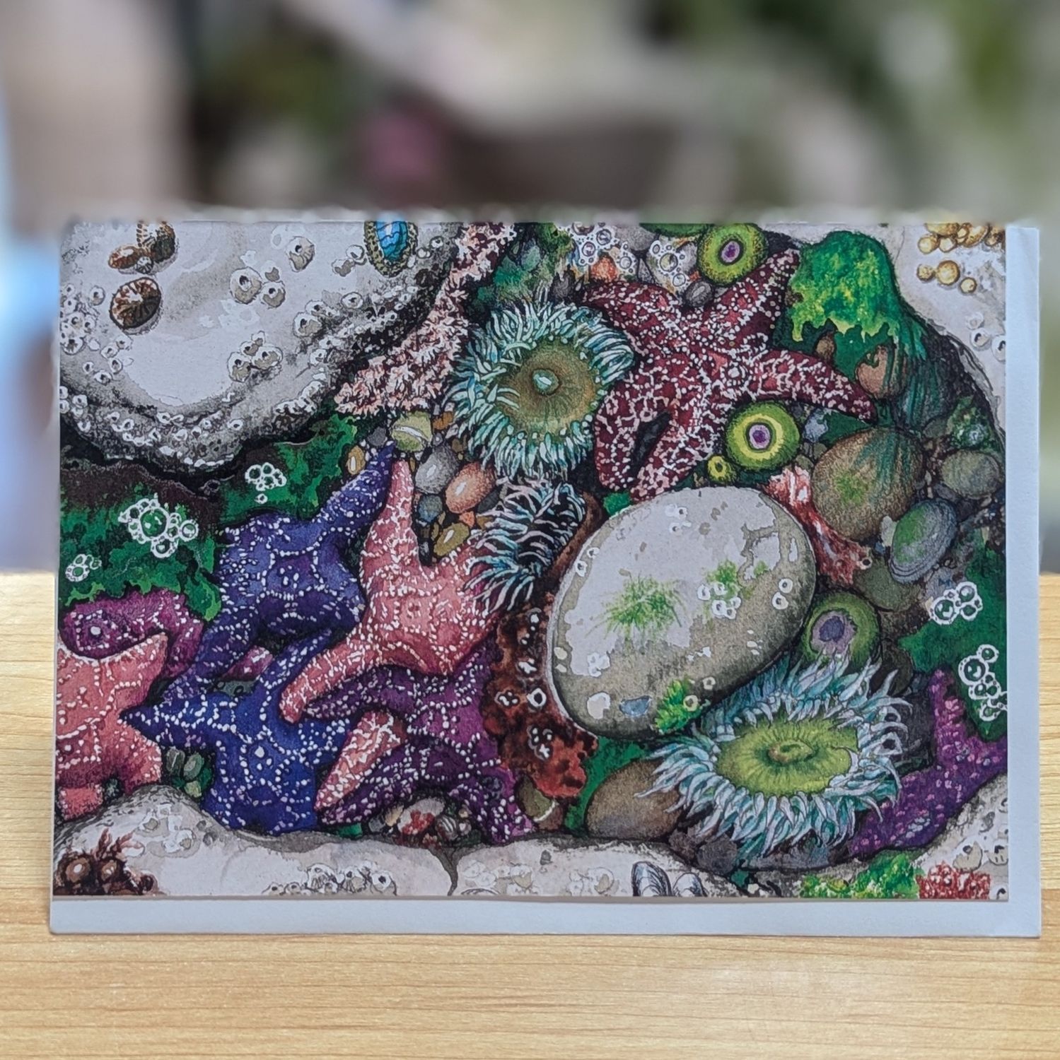 Low Tide Treasures Card