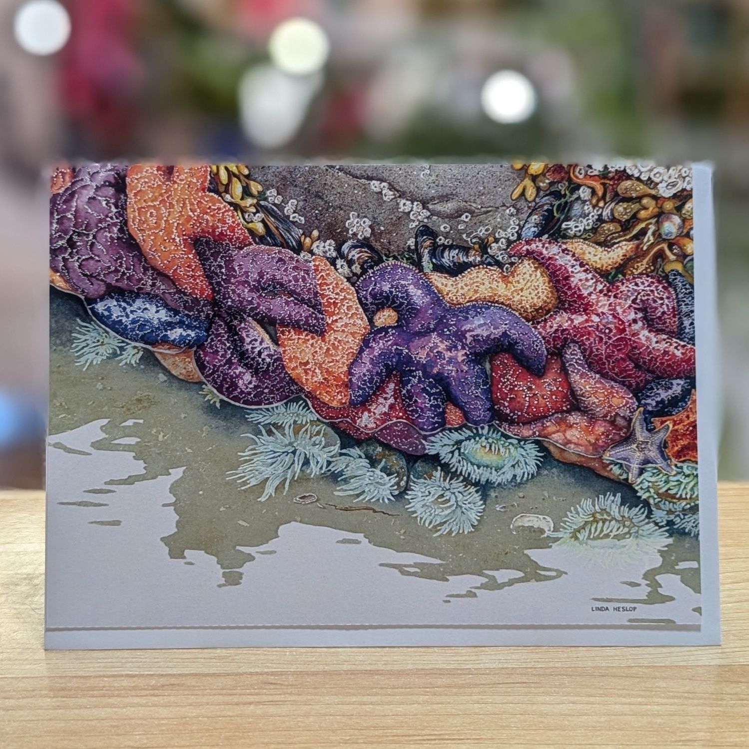 Constellation Conservation Card