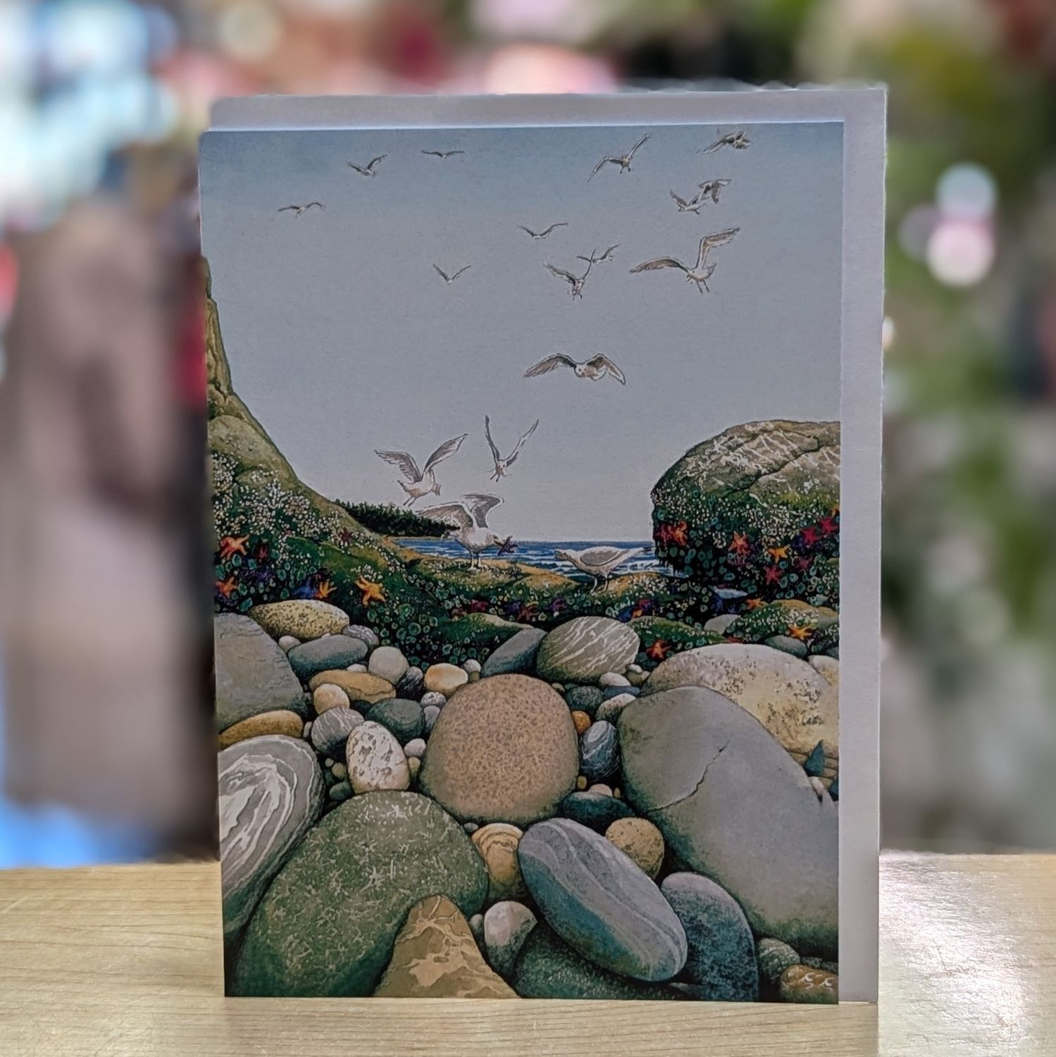 Gulls View Card