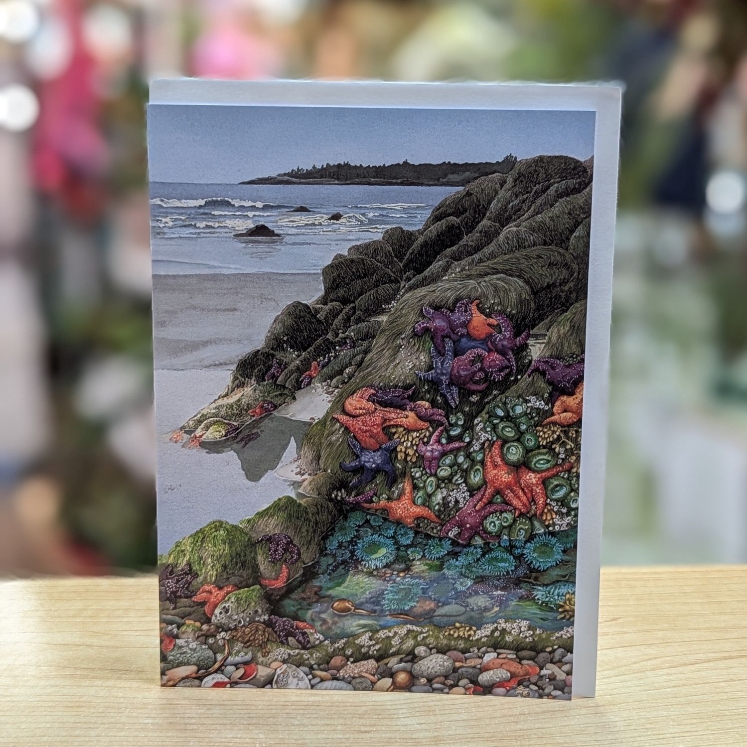 Tidal Offerings Card