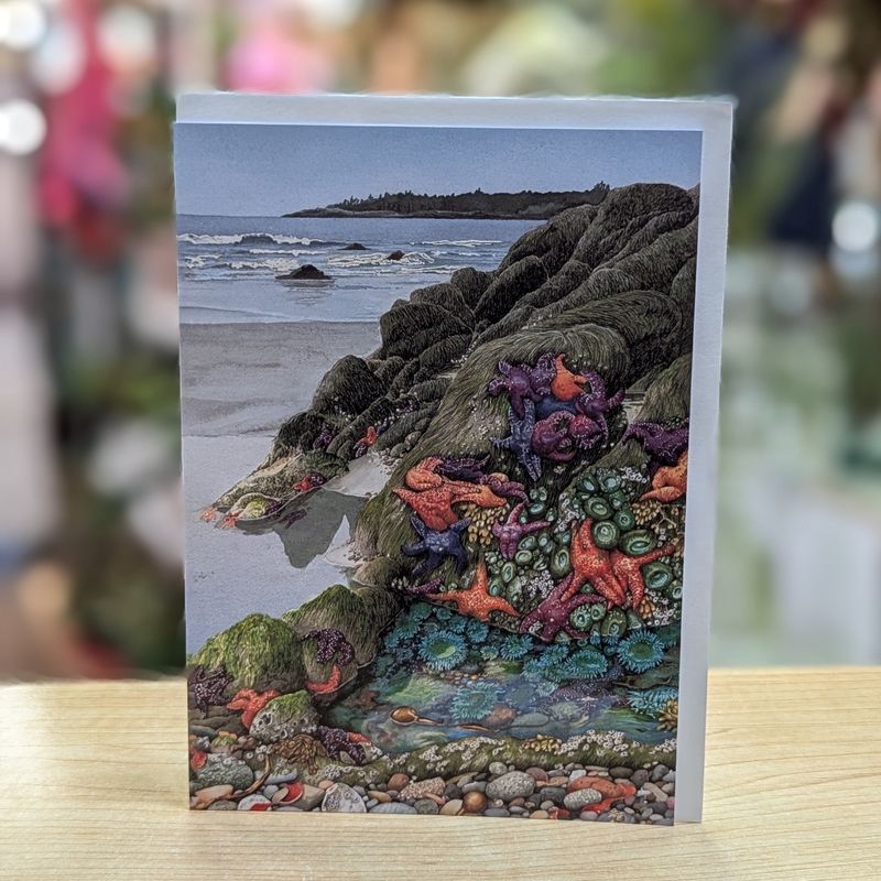 Tidal Offerings Card