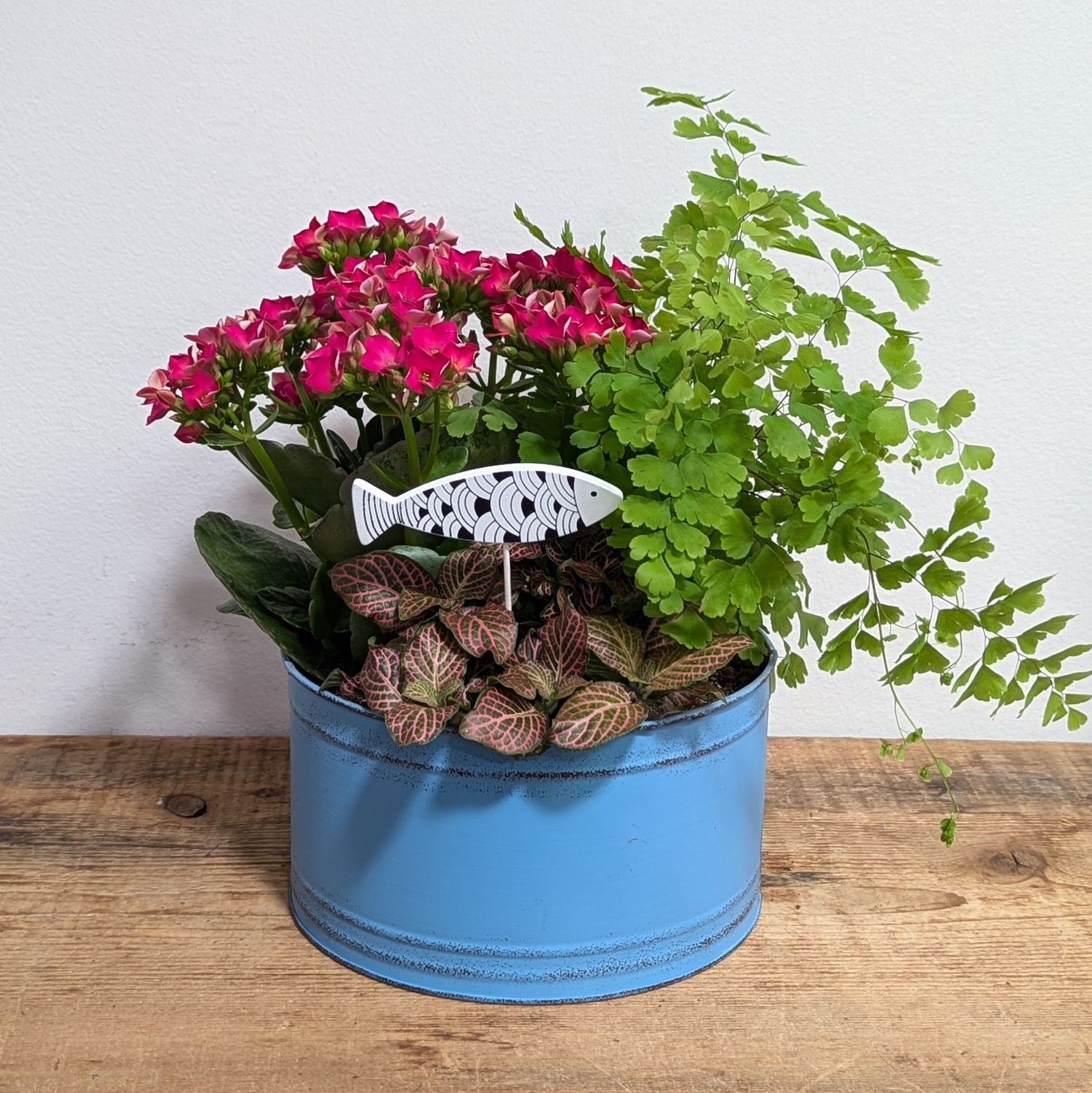 7&quot; Light Blue Tin Fish Planter