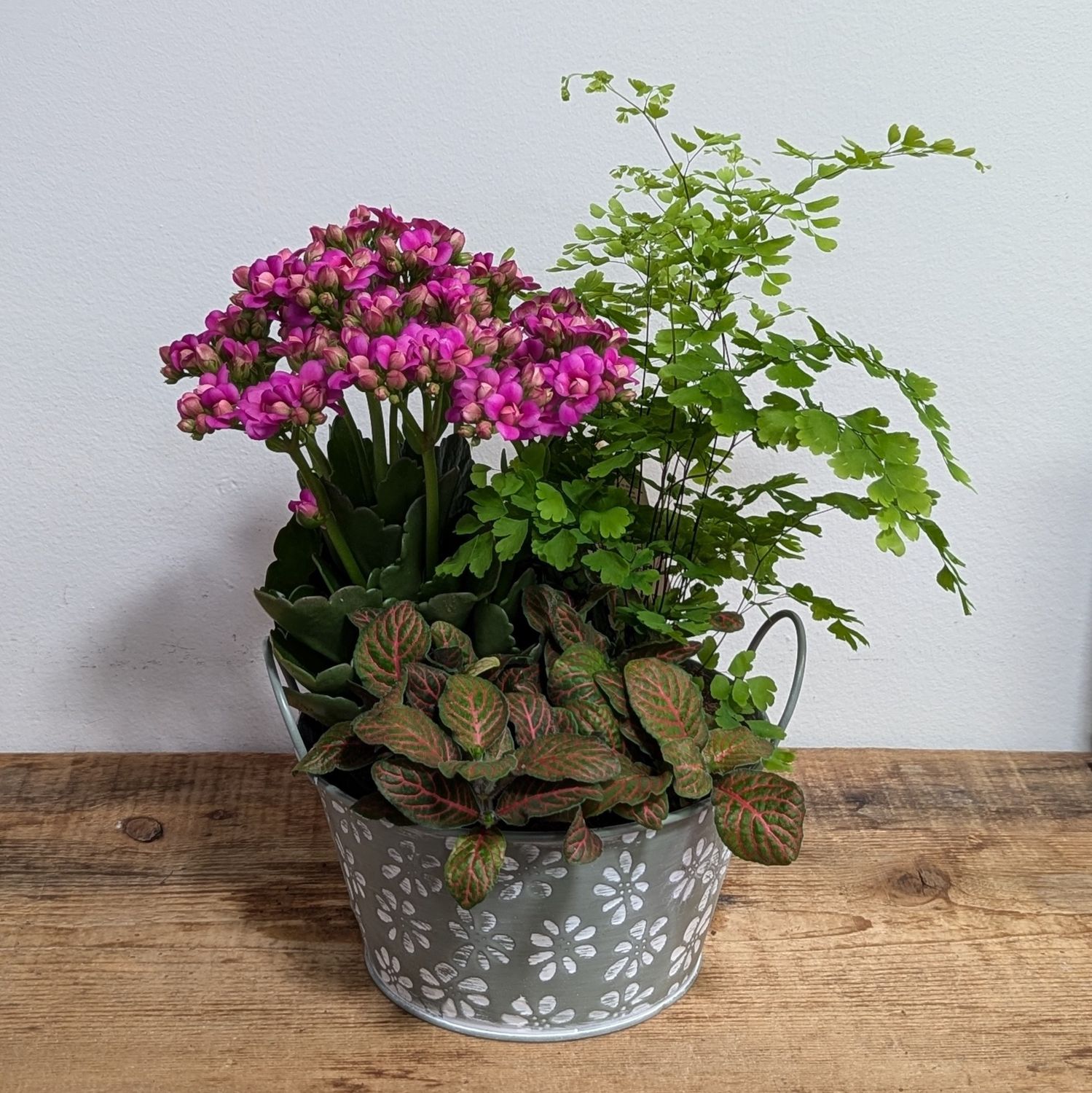 7&quot; Embossed Daisy Planter