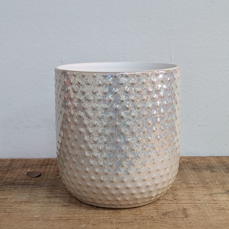 5&quot; x 5.5&quot; Everly Iridescent Pot
