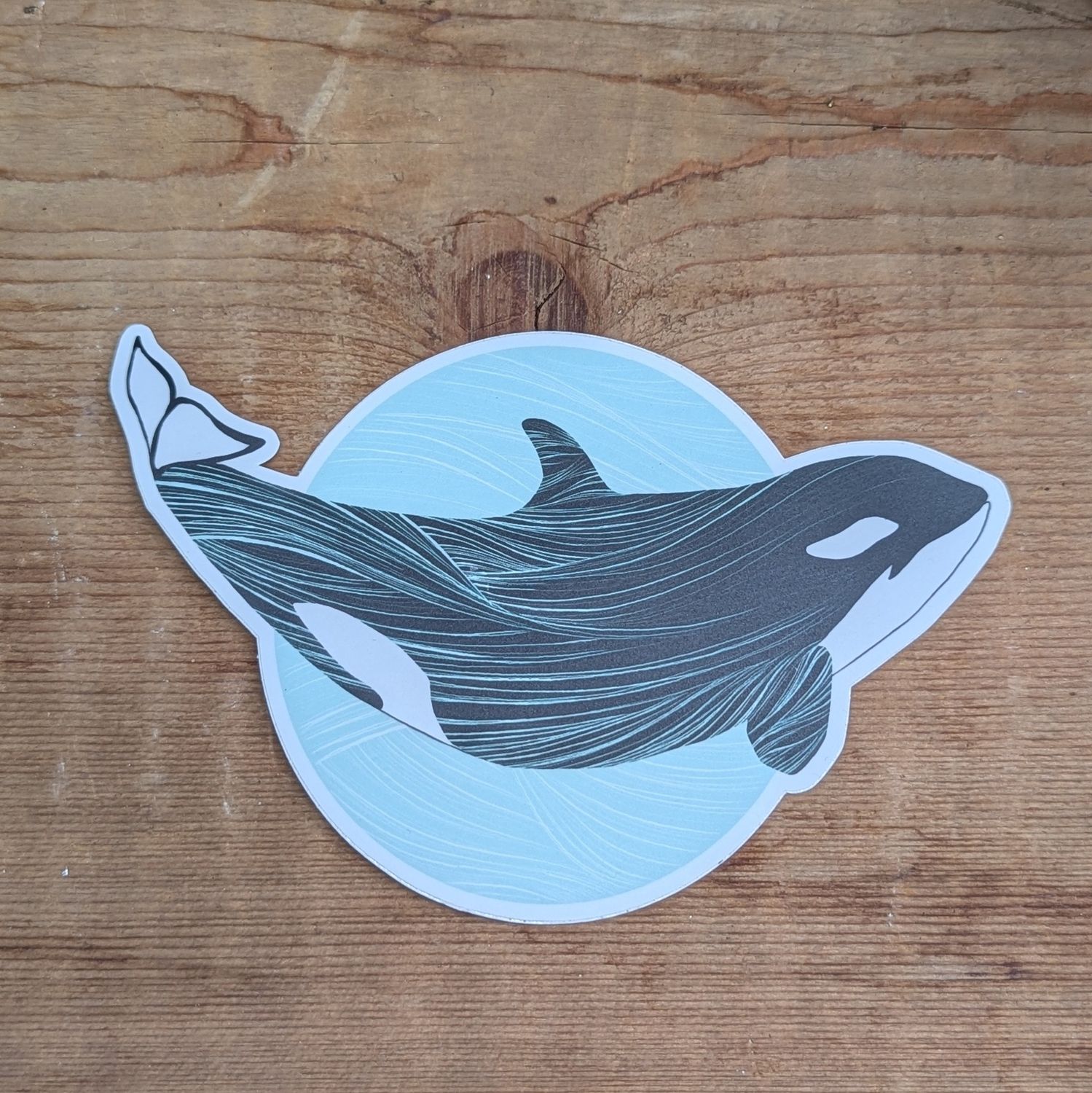 Orca Sticker Turquoise Circle