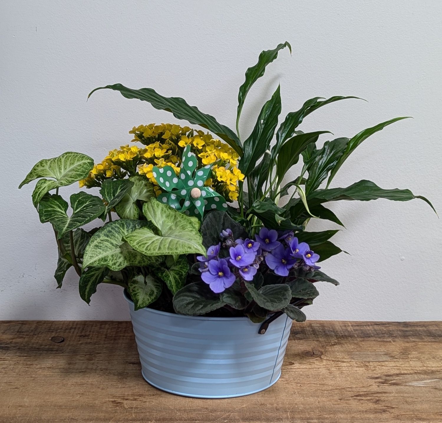 8&quot; Light Blue Tin Spinner Planter