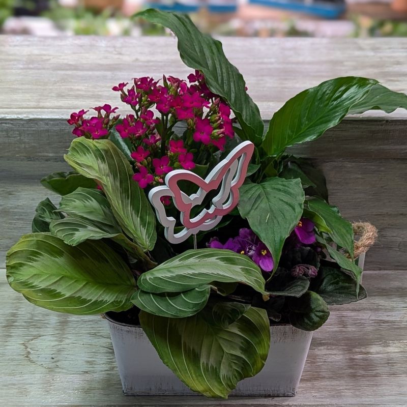 8&quot; White Square Nature Tin Planter