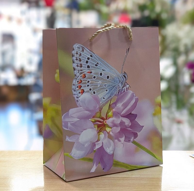 Silver White Butterfly Gift Bag 18 x 23 x 10 cm