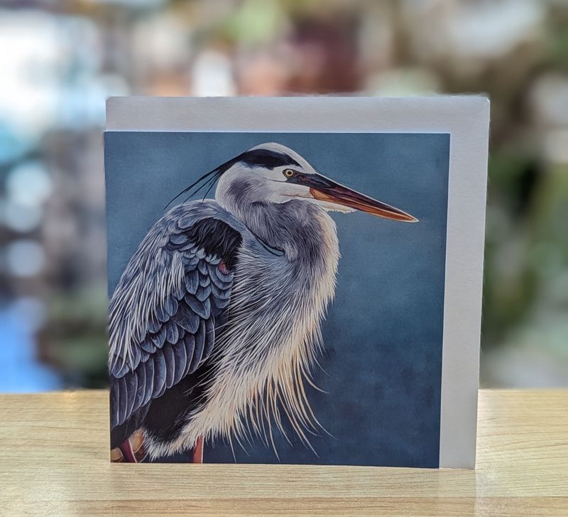 Morning Mediation Card
