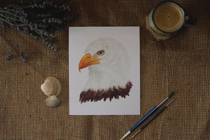 5 x 7 Bald Eagle Watercolour Print