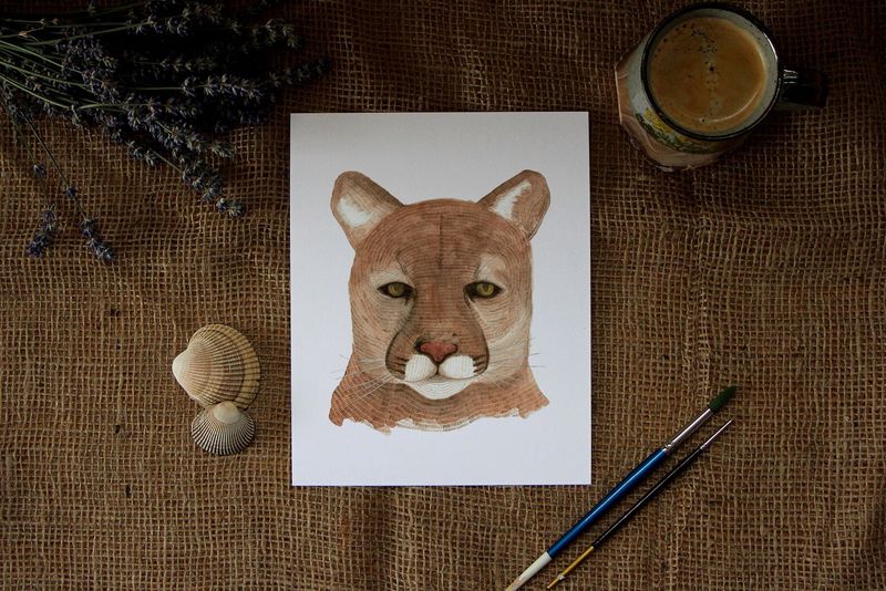 5 x 7 Cougar Watercolour Print