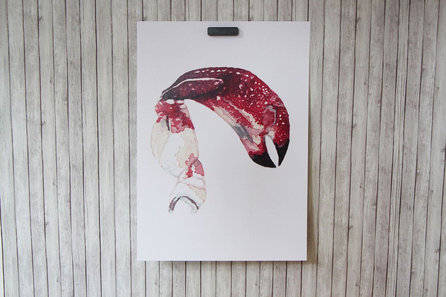 5 x 7 Crab Claw  Watercolour Print