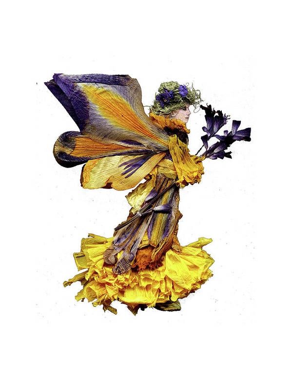 Heralice Faerie 8 x 10 Dried Botanicals Print