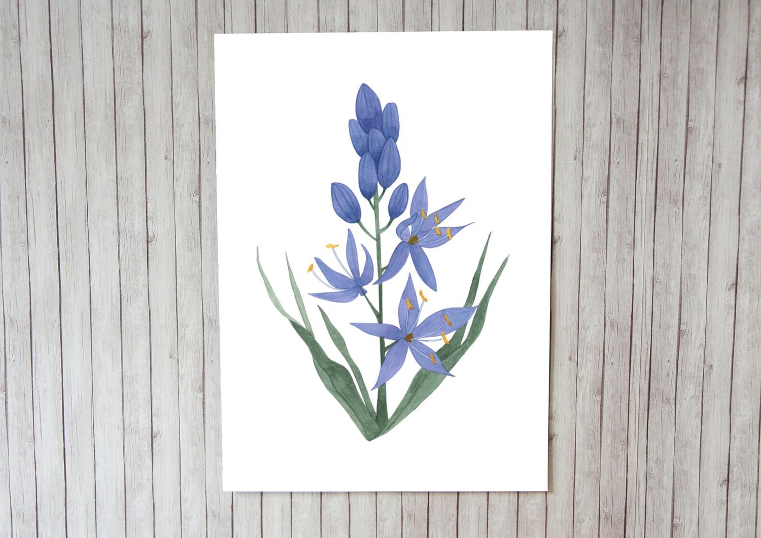 Camas Lily 8 x 10 Watercolour Print