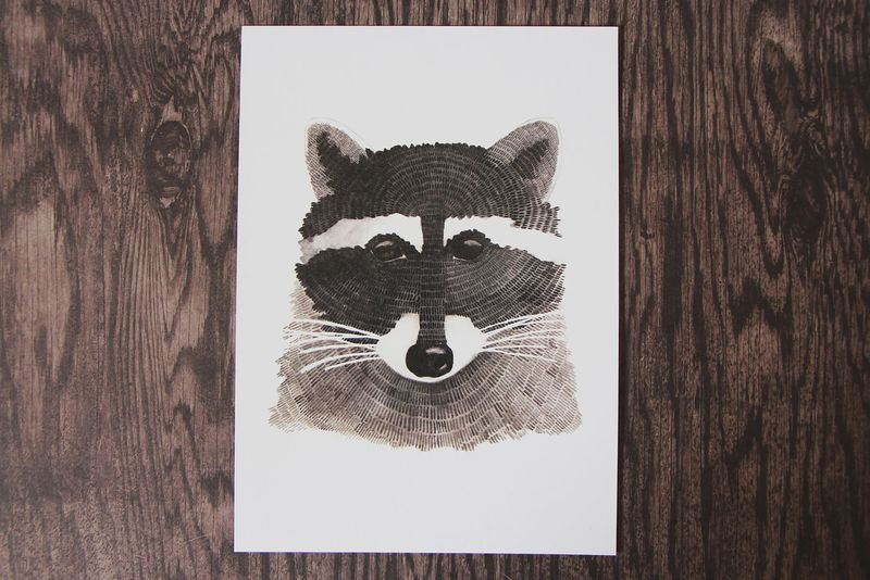 Raccoon 8 x 10 Watercolour Print