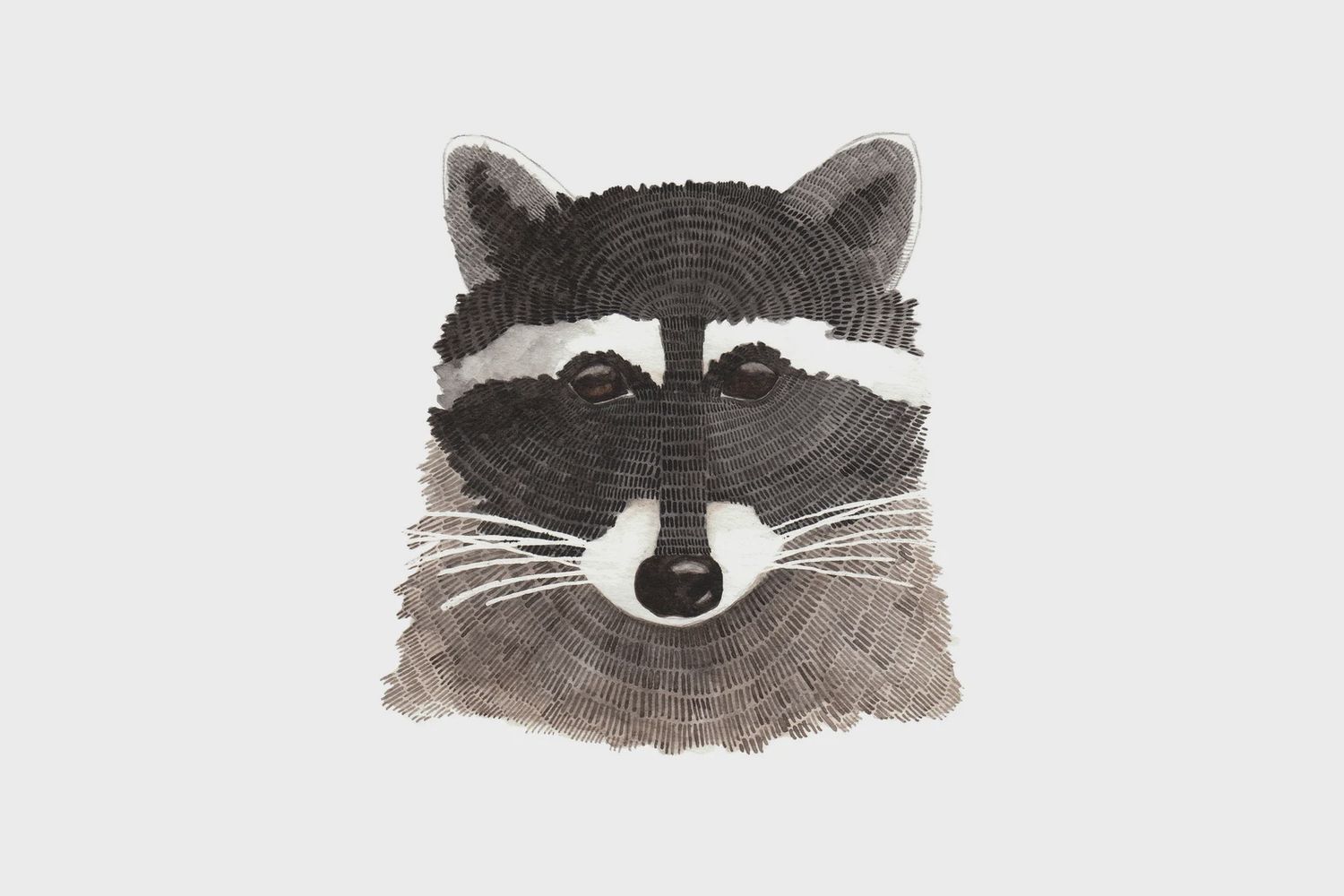 Raccoon 8 x 10 Watercolour Print