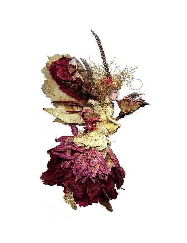 Flaurie Faerie 8 x 10 Framed Dried Botanicals Print