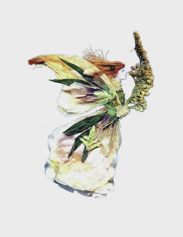 Nennia Faerie 8 x 10 Framed Dried Botanicals Print