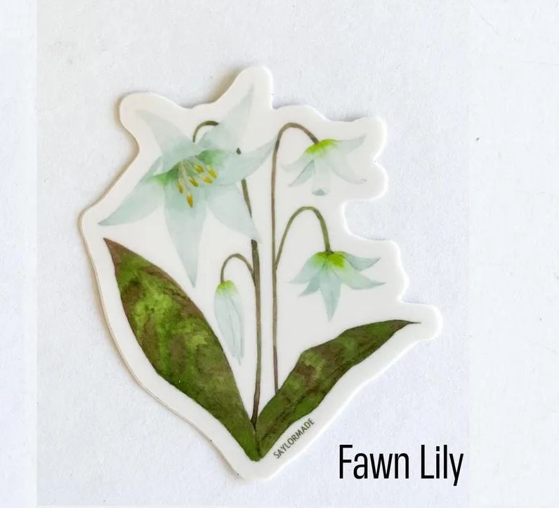 Fawn Lily Vinyl Sticker