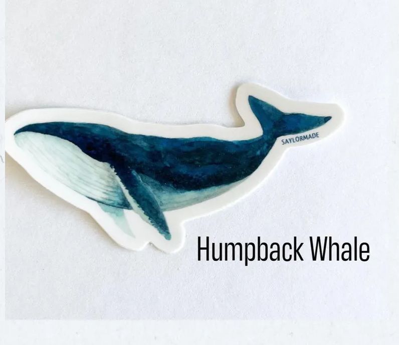 Humpback Whale Vinyl Sticker