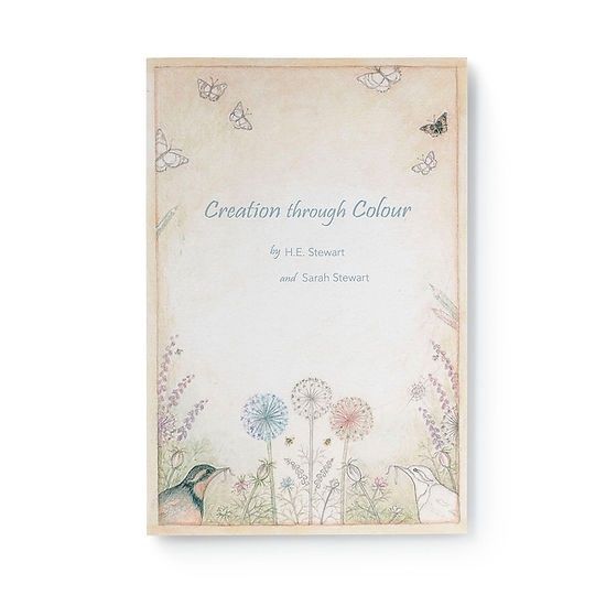 Creation Through Colour Colouring Book