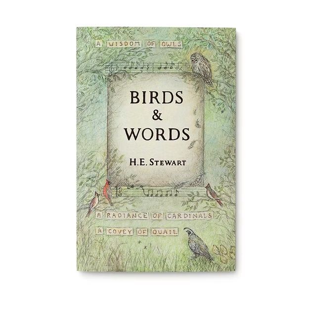 Birds &amp; Words