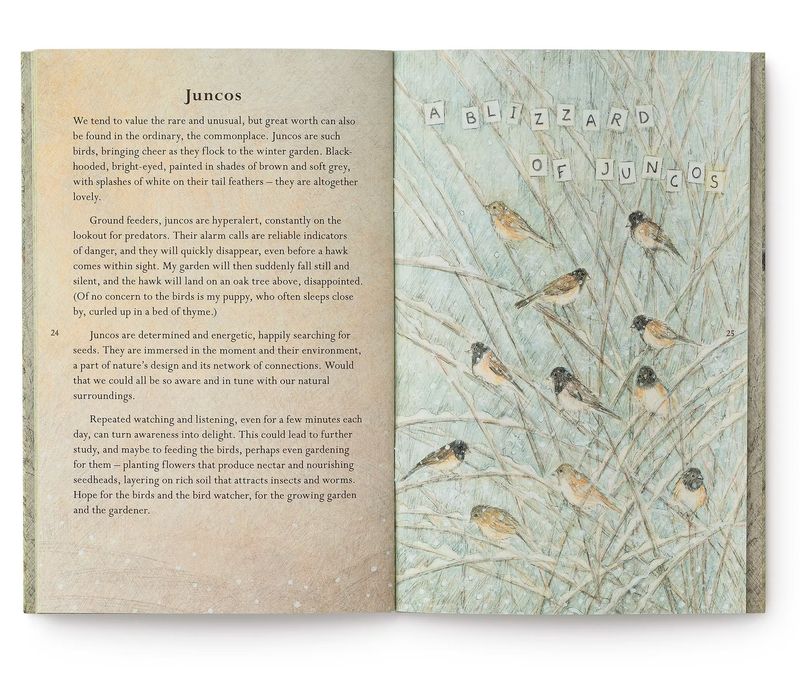 Birds &amp; Words