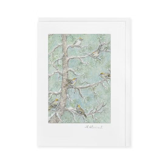 Winter Kinglets Card