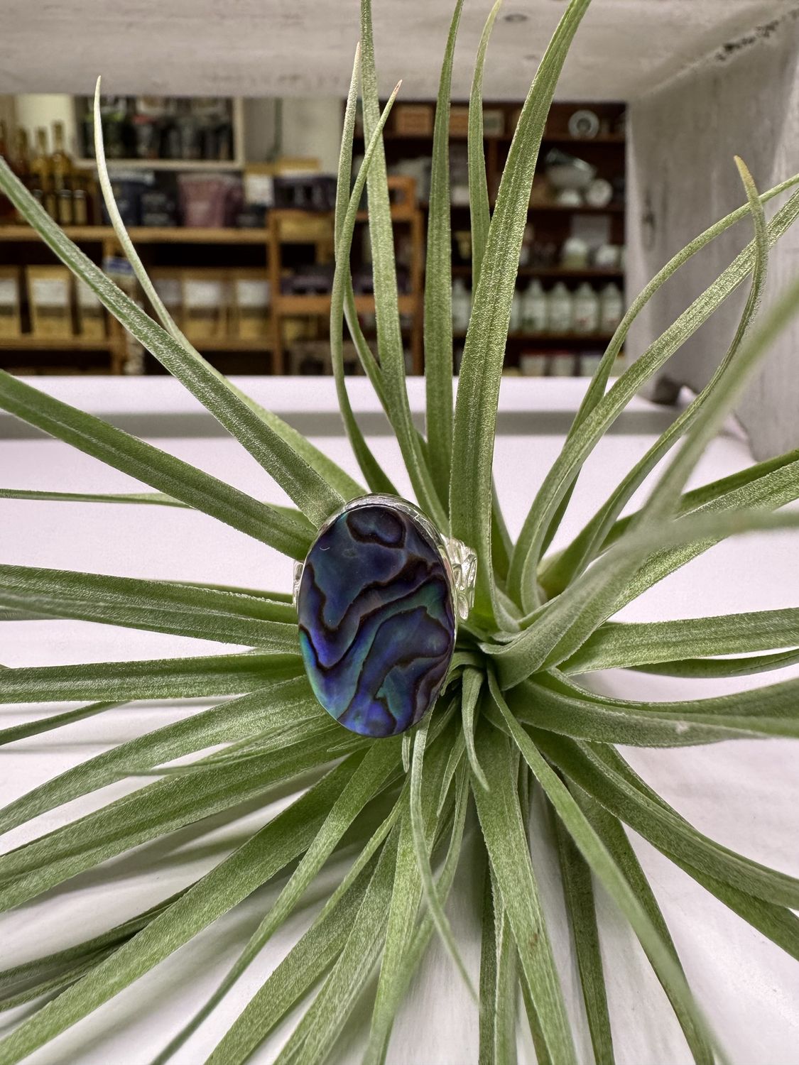 Oval Abalone Sterling Silver Ring (6.5)