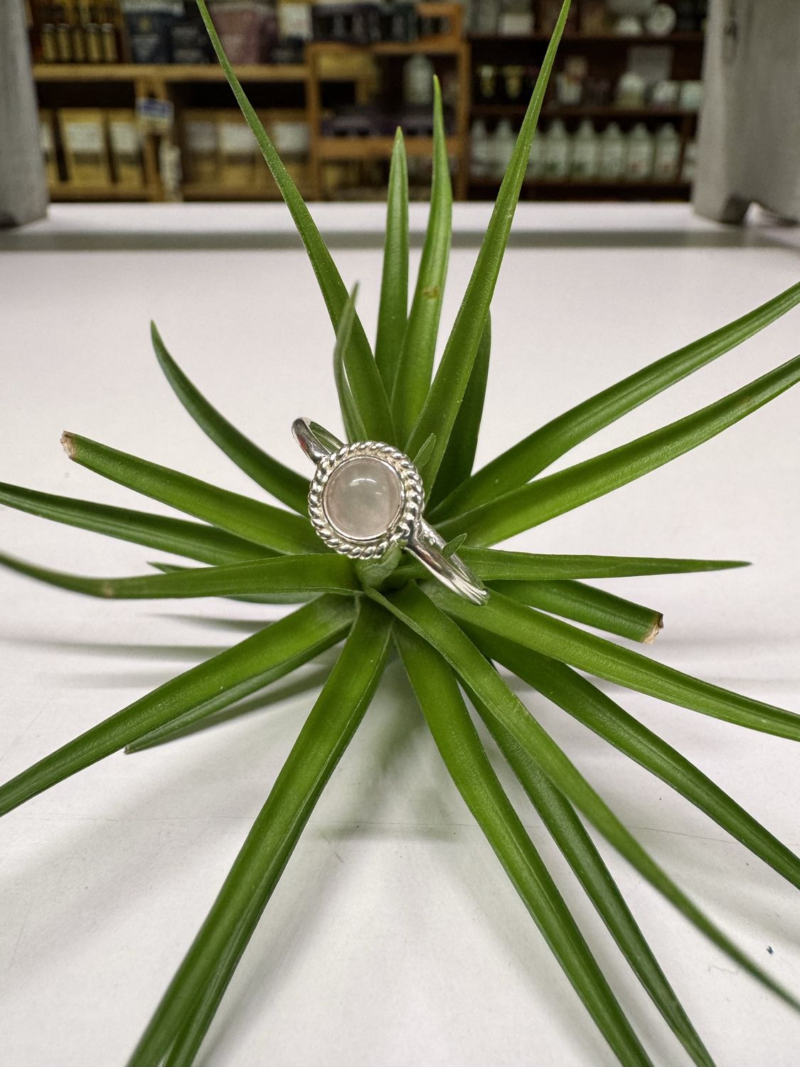Round Rose Quartz Sterling Silver Ring (8)