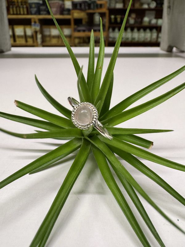 Round Rose Quartz Sterling Silver Ring (8)